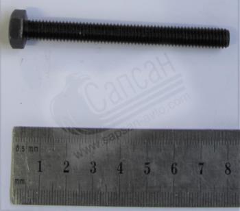 Болт М8х1,25х75х22х10,9 