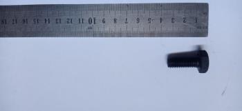 Болт М10х1,5х25  10,9 