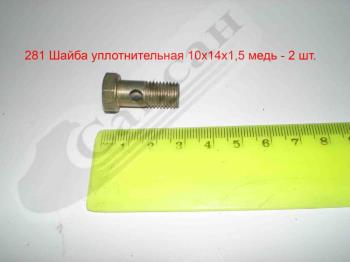 Болт полый форсунки М10х1,25х23 870007
